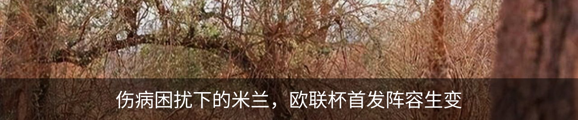 新闻中心